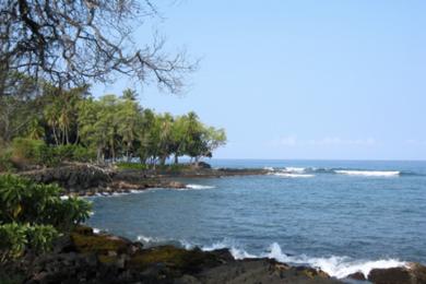 Sandee - Holualoa Bay Beach