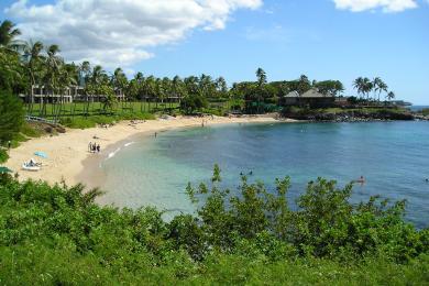 Sandee Kapalua Beach Photo