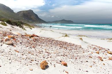 Sandee - Muizenberg Beach