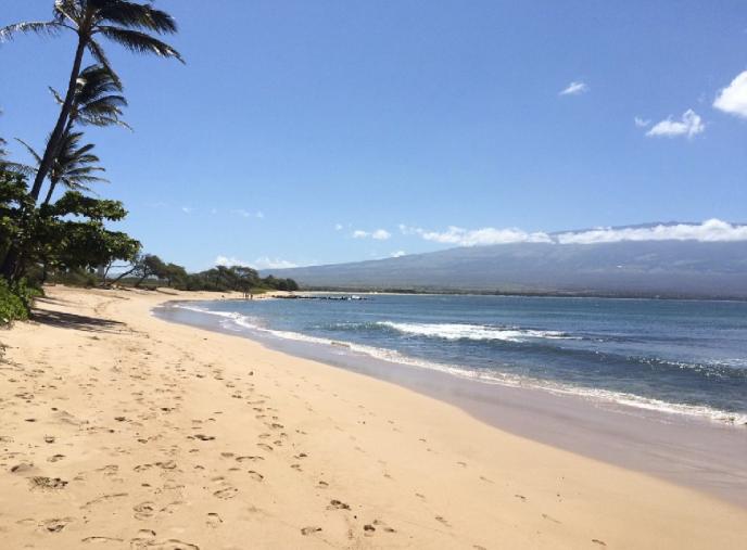 Sandee - Maalaea Beach