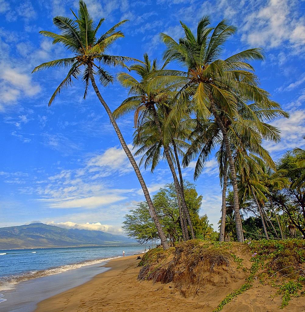 Sandee - Maalaea Beach