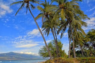 Sandee - Maalaea Beach