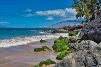 Sandee Maalaea Beach