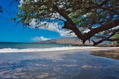 Sandee - Maalaea Beach