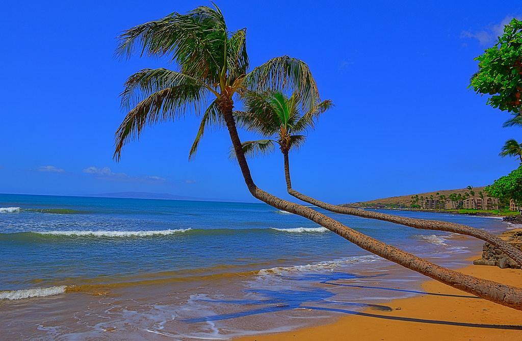 Sandee - Maalaea Beach