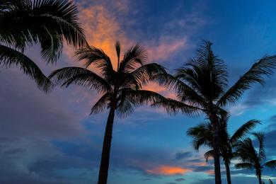 Sandee - Puerto Morelos Beach