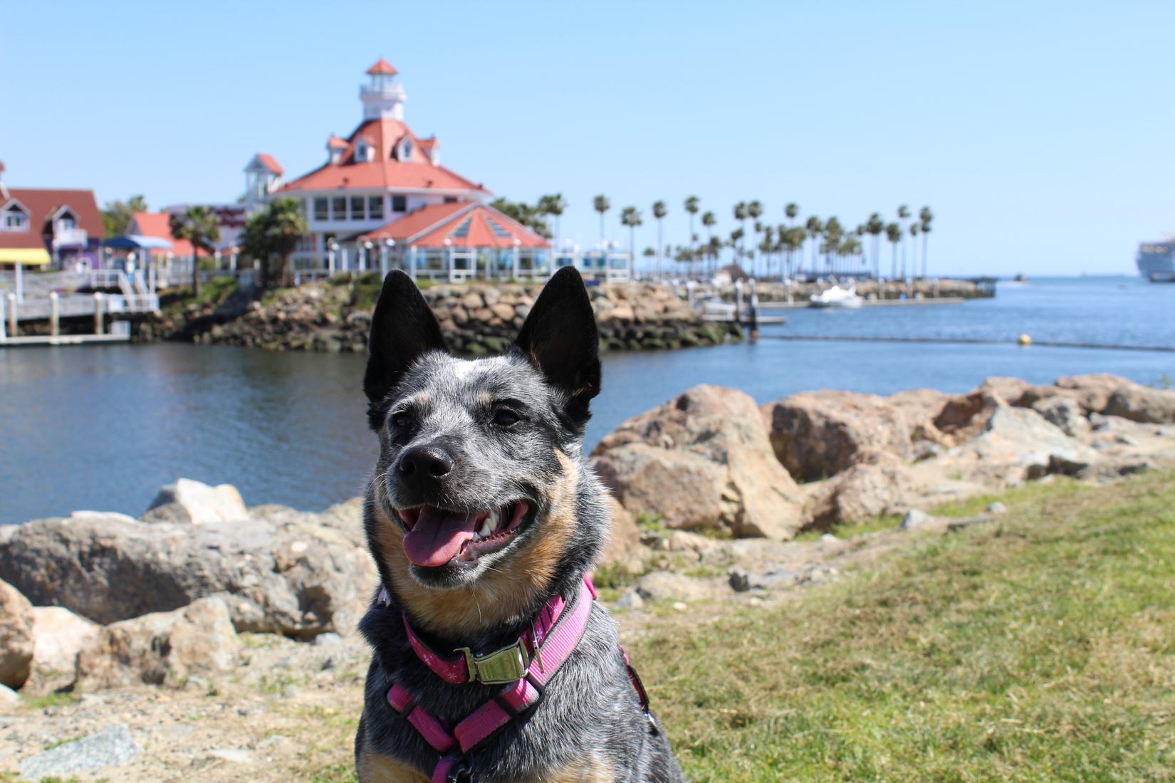 Sandee - Shoreline Aquatic Park