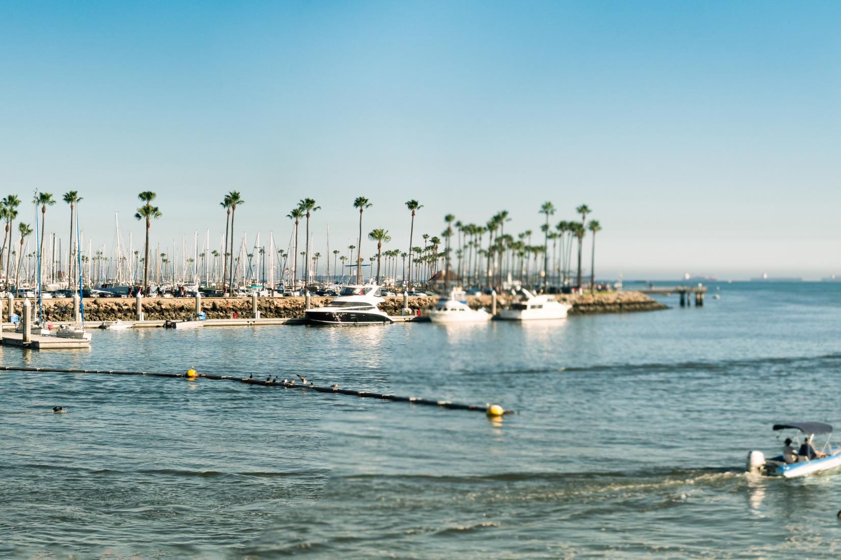 Sandee - Shoreline Aquatic Park