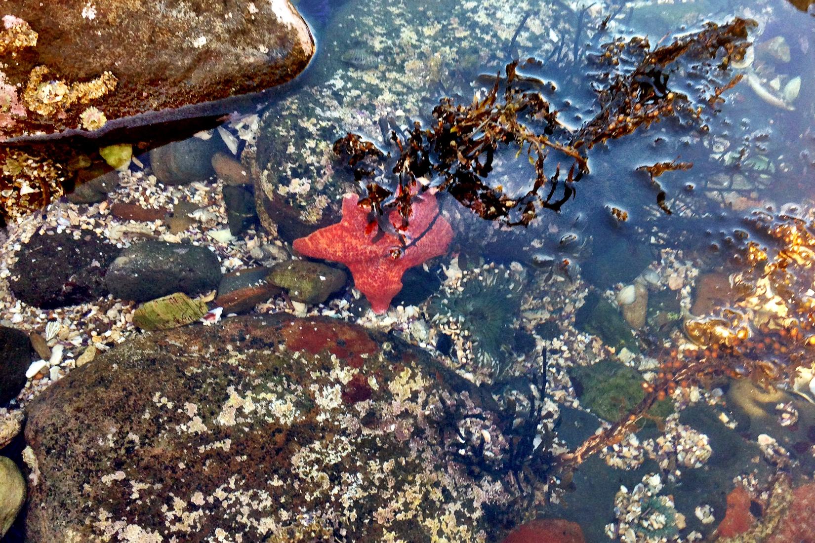 Sandee - Sacred Cove Beach