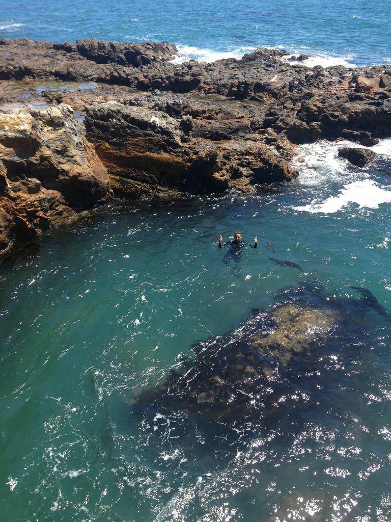 Sandee - Sacred Cove Beach