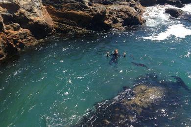 Sandee - Sacred Cove Beach