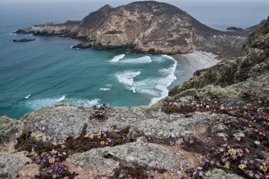 Sandee Sacred Cove Beach