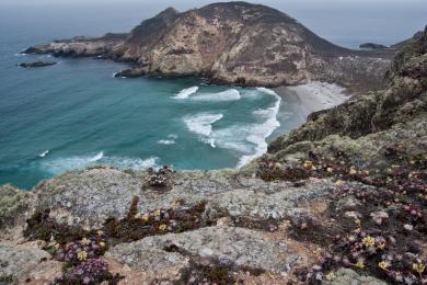 Sandee Sacred Cove Beach Photo