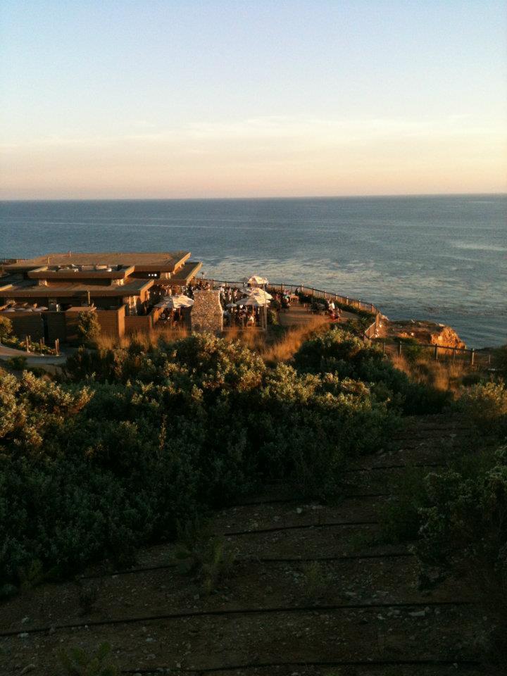 Sandee - Terranea Cove Beach