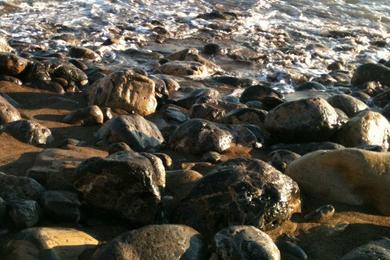 Sandee - Terranea Cove Beach