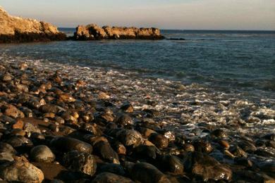 Sandee - Terranea Cove Beach