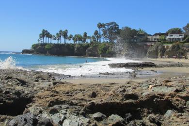 Sandee Shaw's Cove