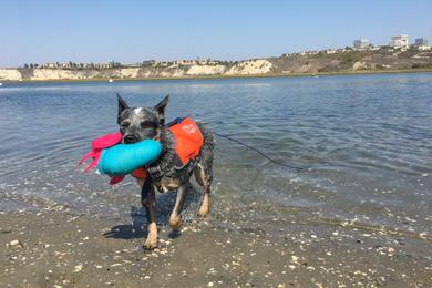 Sandee - North Star Beach