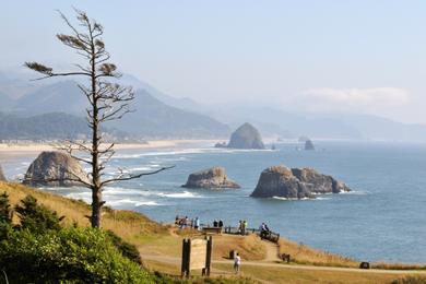 Sandee Boca Del Canon Beach