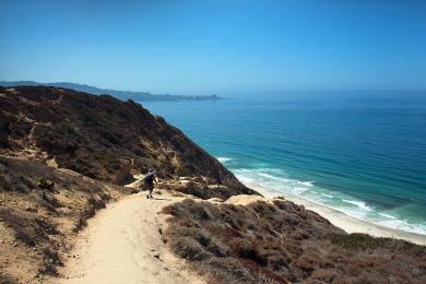Sandee Black's Beach