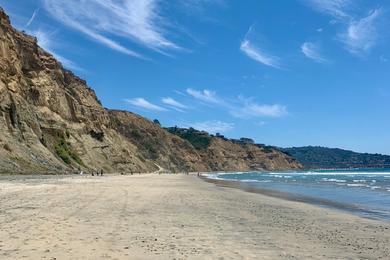 Sandee Black's Beach Photo