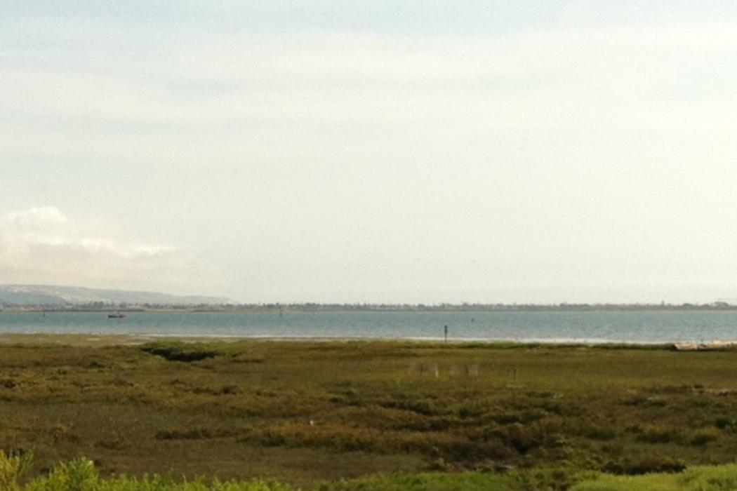 Sandee Sweetwater Marsh