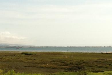 Sandee Sweetwater Marsh