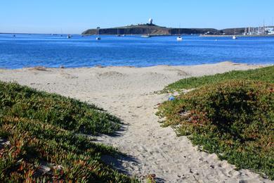 Sandee - Pillar Point Harbor Beach