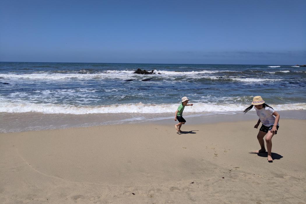Sandee Pelican Point Beach