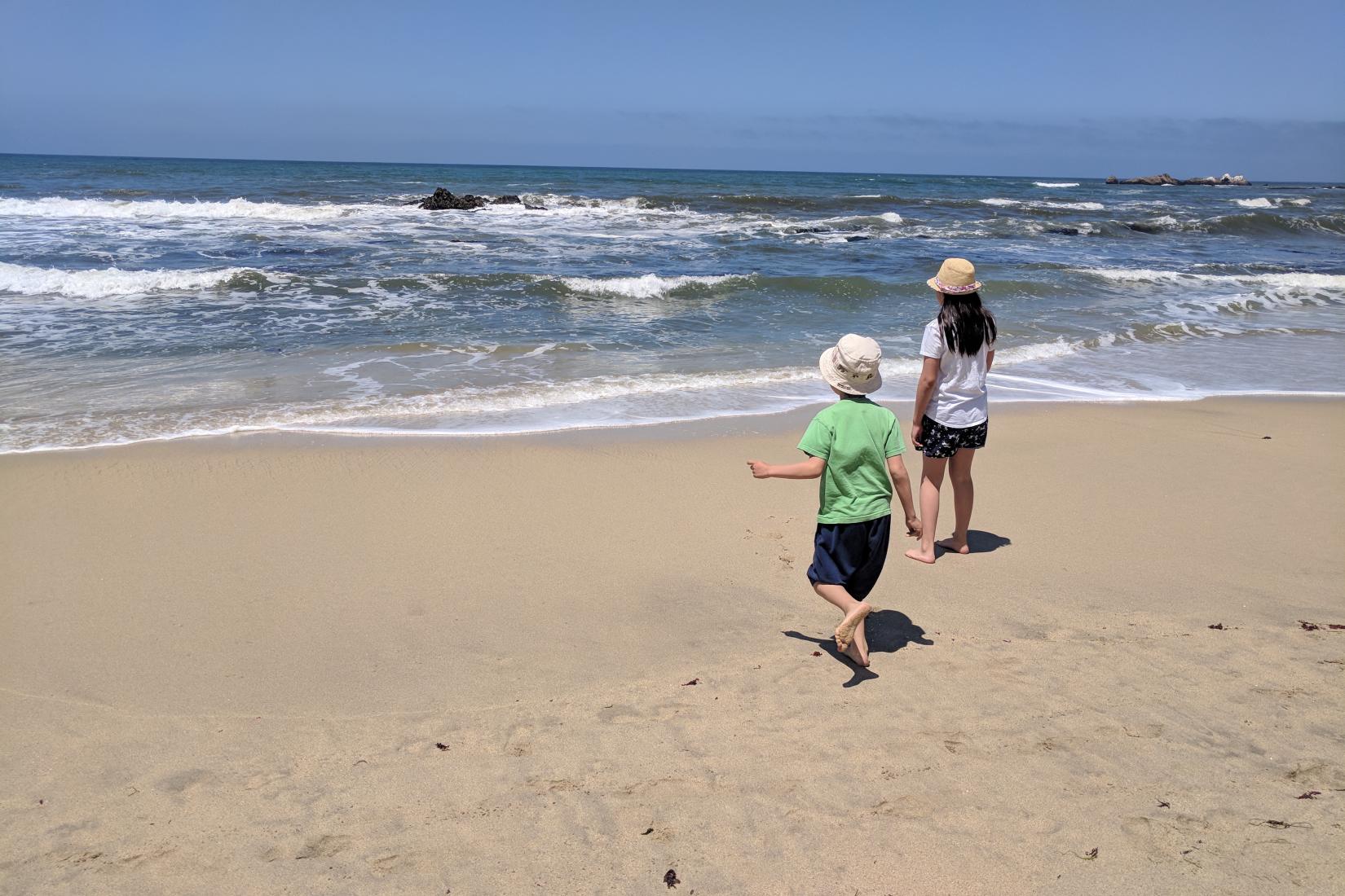 Pelican Point Beach  USA, California, Half Moon Bay