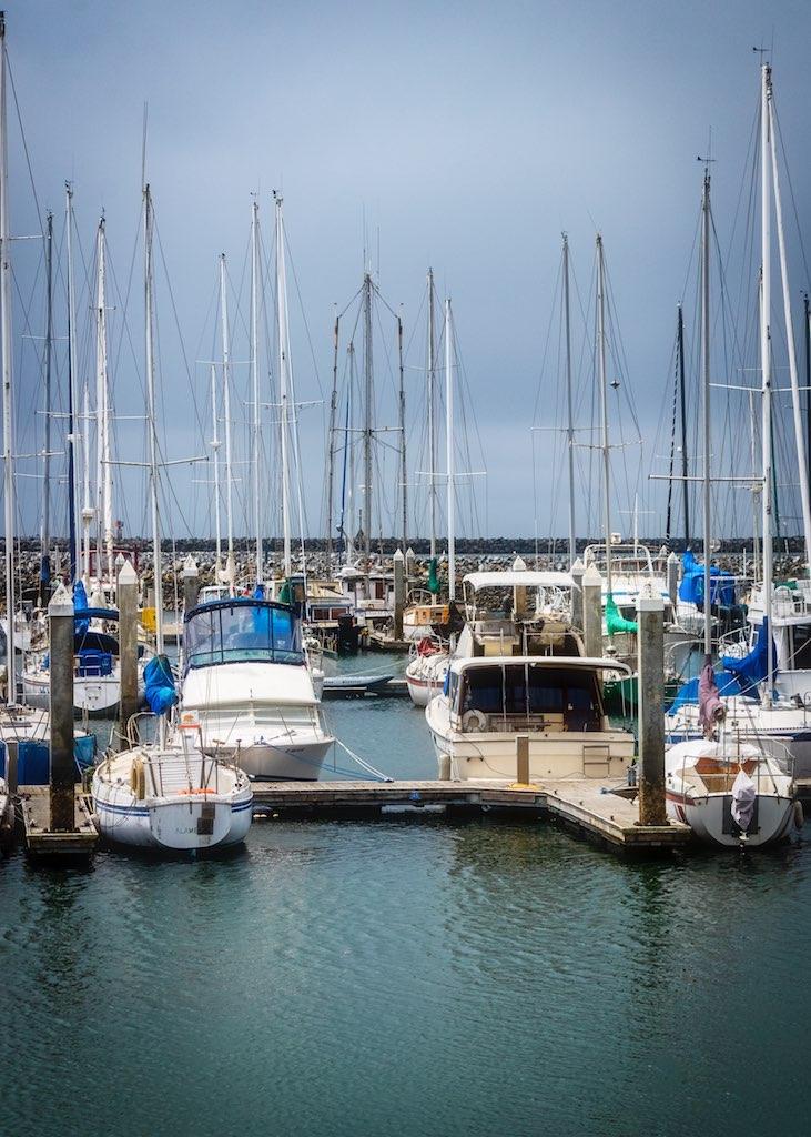 Sandee - Pillar Point Harbor Beach