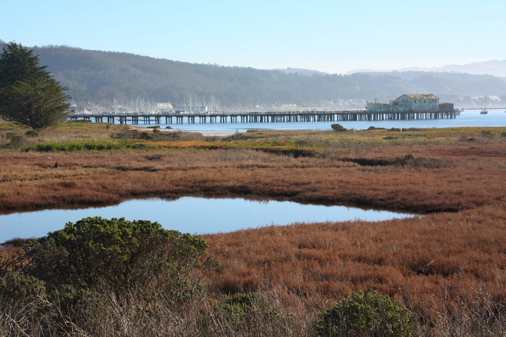 Sandee - Pillar Point Marsh Beach