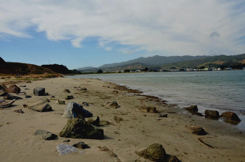 Sandee - Pillar Point Marsh Beach