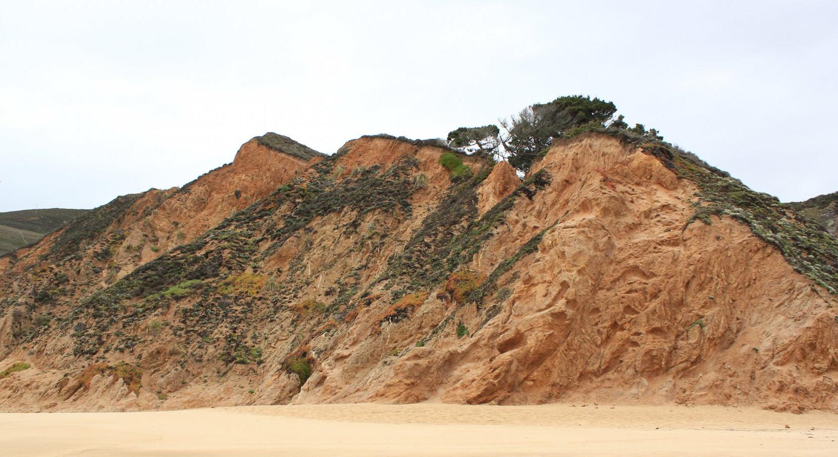 Sandee - Gray Whale Cove Nude Beach