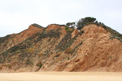 Sandee - Gray Whale Cove Nude Beach