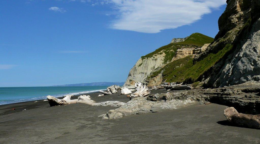 Sandee - Waihua Beach