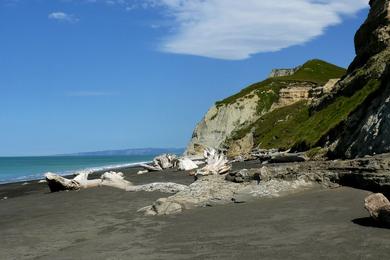 Sandee - Waihua Beach