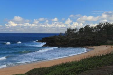 Sandee Donkey Beach Photo