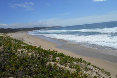Sandee Trafalgar Beach