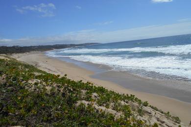 Sandee - Trafalgar Beach