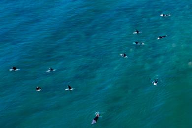 Sandee - Leo Carrillo State Park - County Line Beach