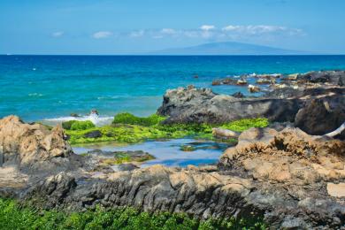 Sandee - Cove Beach Park