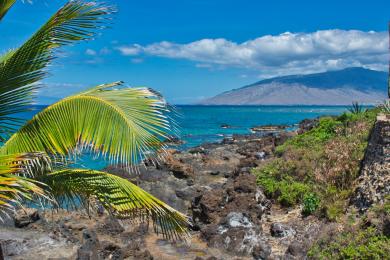 Sandee - Cove Beach Park