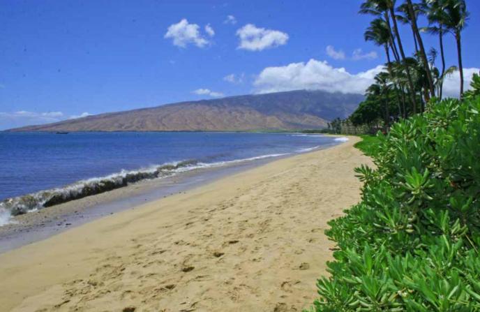 Sandee - Kihei Beach