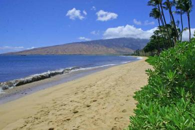 Sandee - Kihei Beach