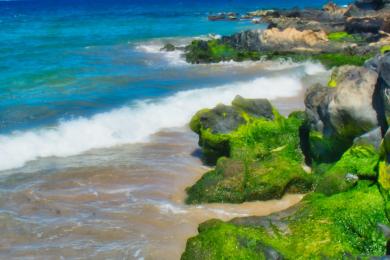 Sandee - Kihei Beach