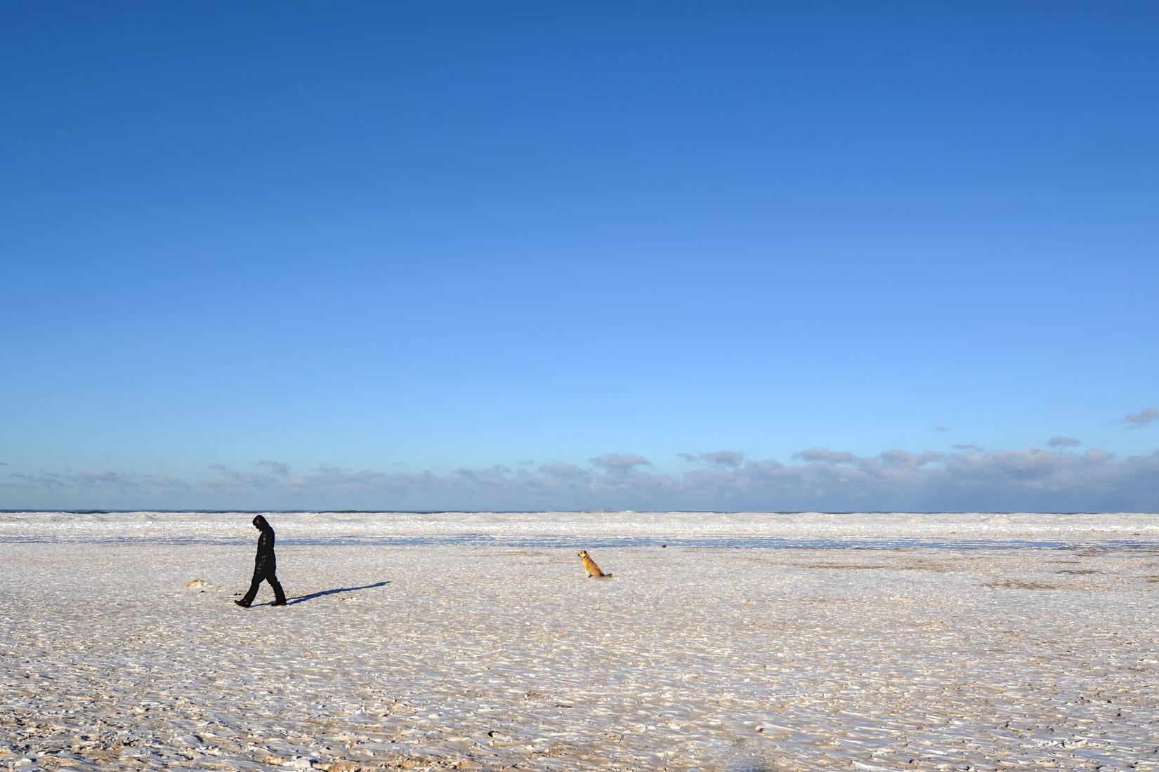 Sandee - Montrose Beach