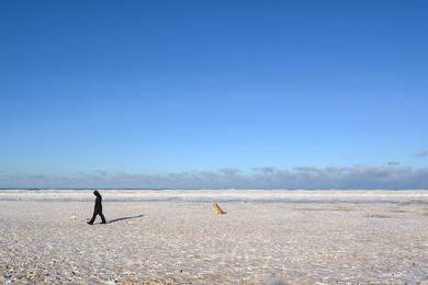 Sandee - Montrose Beach