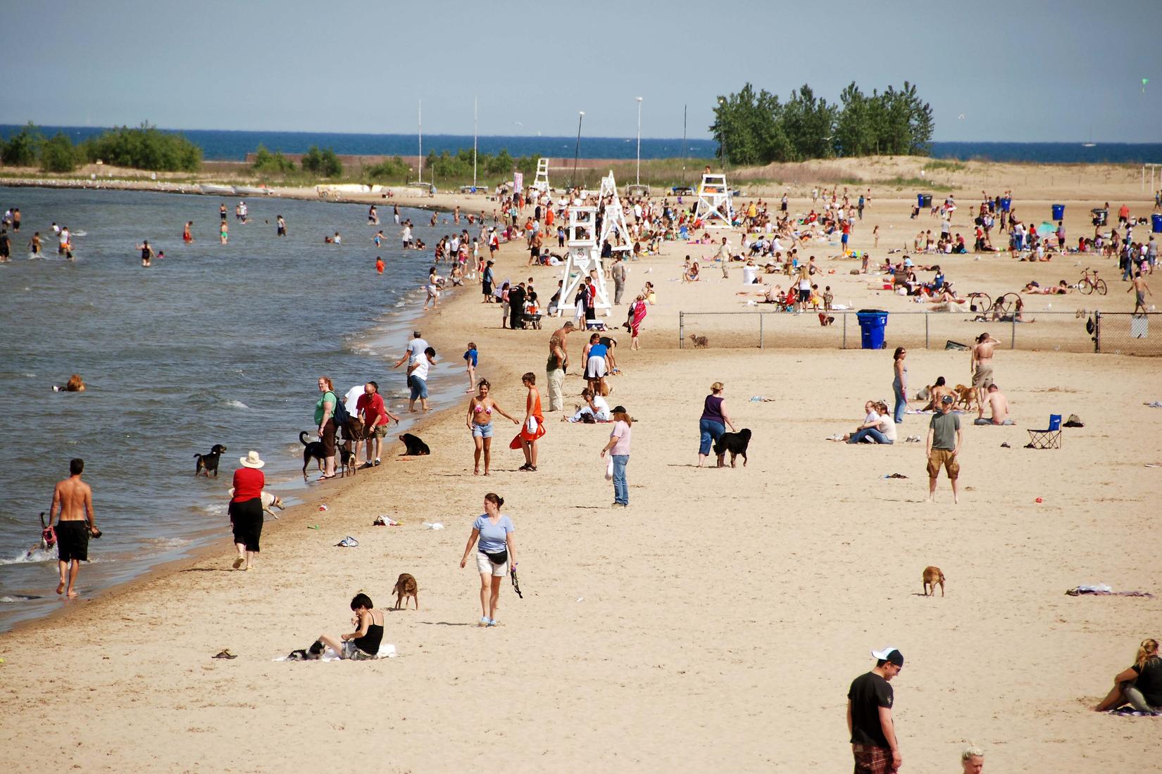 Sandee - Montrose Beach