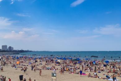 Sandee Montrose Beach Photo